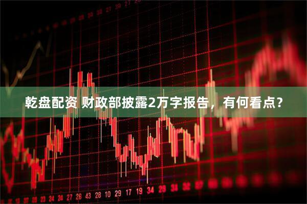 乾盘配资 财政部披露2万字报告，有何看点？