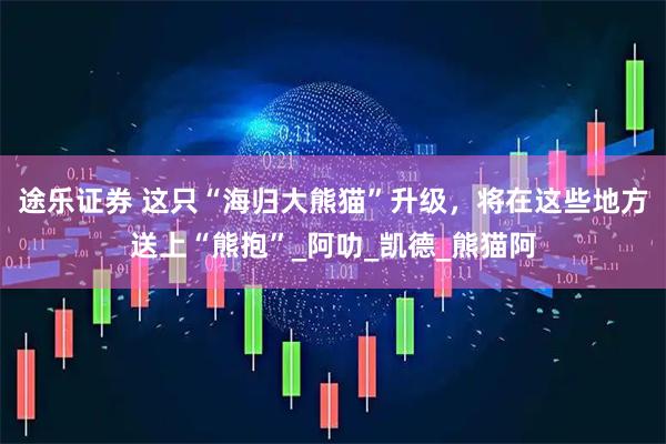 途乐证券 这只“海归大熊猫”升级，将在这些地方送上“熊抱”_阿叻_凯德_熊猫阿