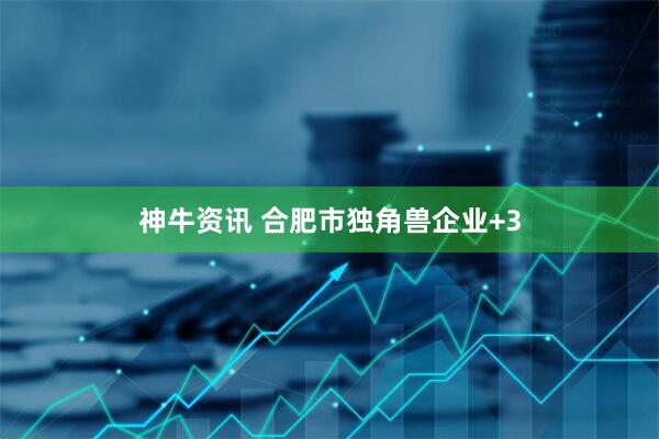神牛资讯 合肥市独角兽企业+3