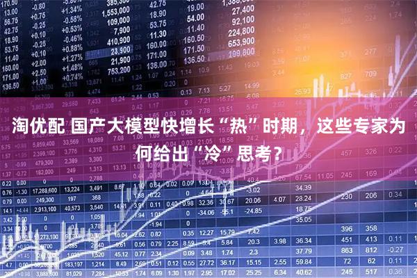 淘优配 国产大模型快增长“热”时期，这些专家为何给出“冷”思考？
