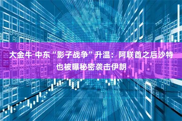 大金牛 中东“影子战争”升温：阿联酋之后沙特也被曝秘密袭击伊朗