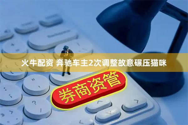 火牛配资 奔驰车主2次调整故意碾压猫咪