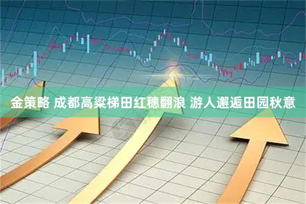 金策略 成都高粱梯田红穗翻浪 游人邂逅田园秋意